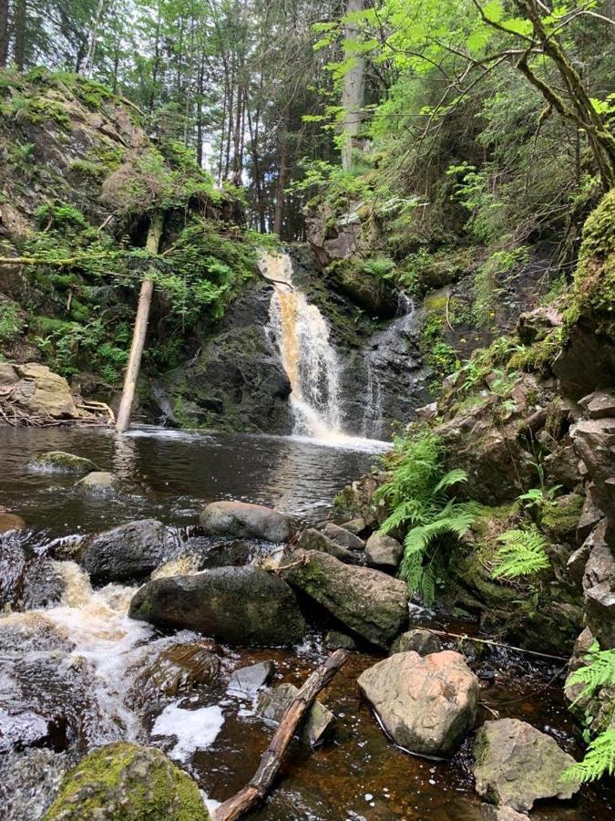 Apartment Am Wasserfall Mit Sauna & Top-Lage Feldberg  Eksteriør bilde